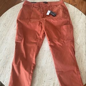 Banana Republic Sloan fit, stretch chino in beautiful copper clay color.